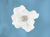 Květ bílý
